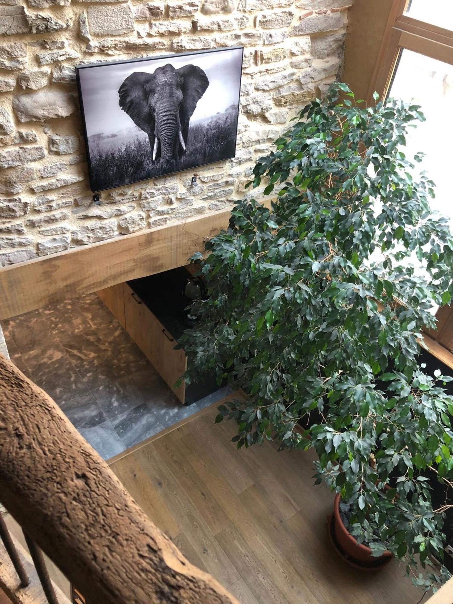 Maison Millot